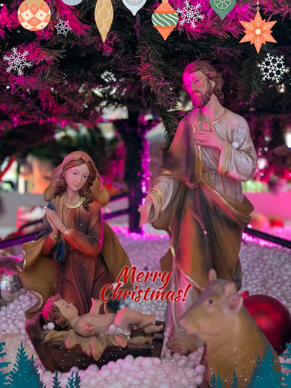 MGB christmas 2025